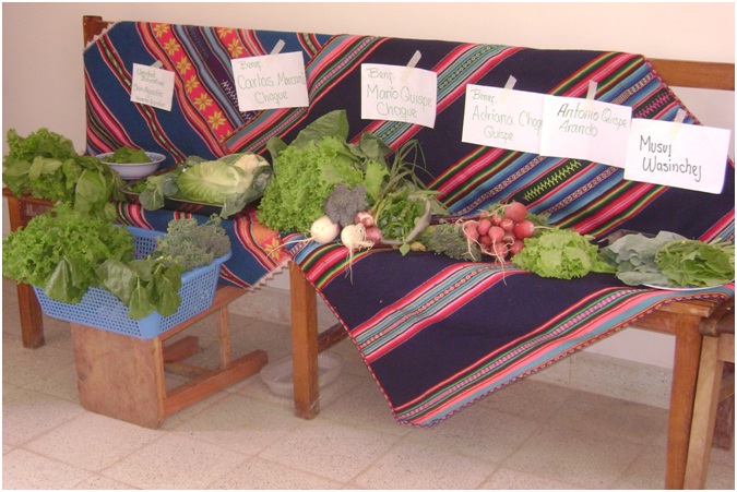 Trabajamos en áreas como la Soberanía Alimentaria