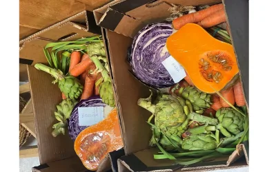 Grupo de Consumo Ecológico en DiDeSUR
